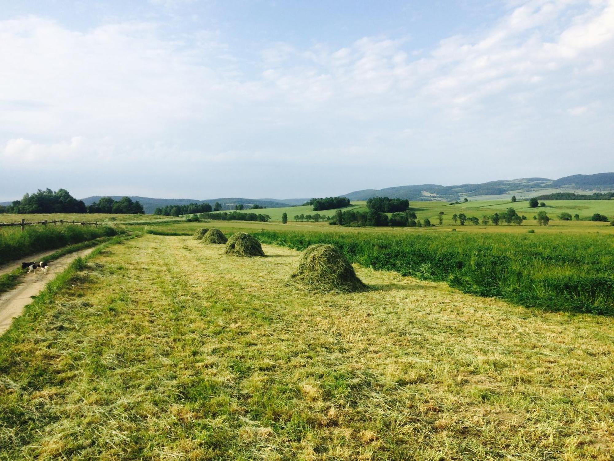 Siedlisko Wierchy Wiesciszowice Exterior foto